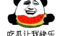 吃瓜是什么意思,网络热词背后的文化现象